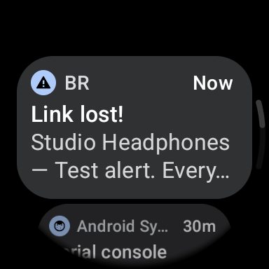 Notifications on the watch: link loss warning